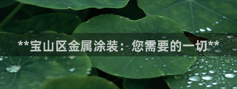 美高梅是哪个集团