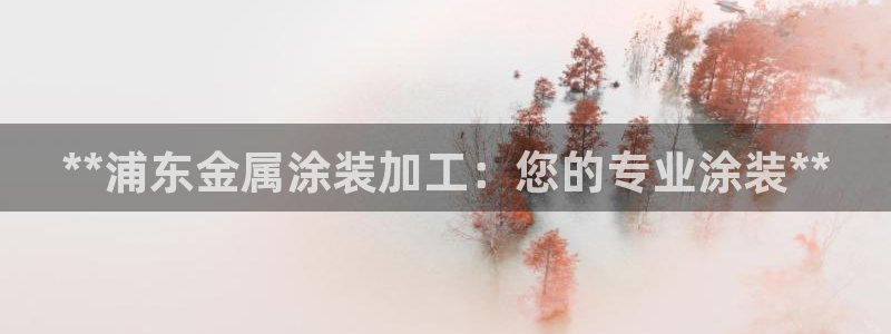 美高梅公司在中国上市