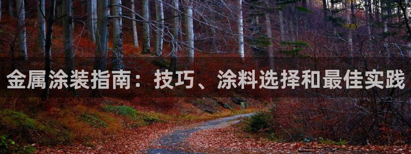 美高梅在澳门有几家