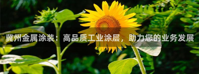 美高梅软件转钱准成吗