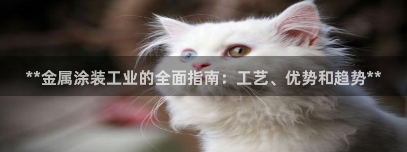 美高梅酒店官网 三亚