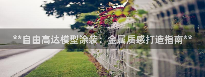 美高梅空气炸锅怎么样