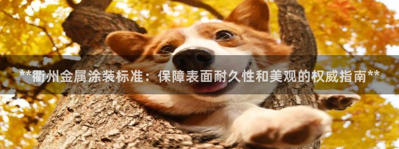 美高梅股票涨了多少
