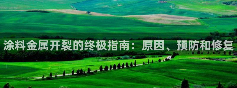 美狮美高梅酒店是谁的