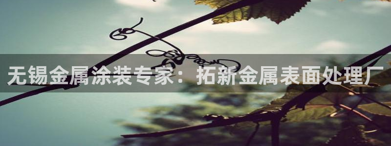 美高梅会员卡好用不