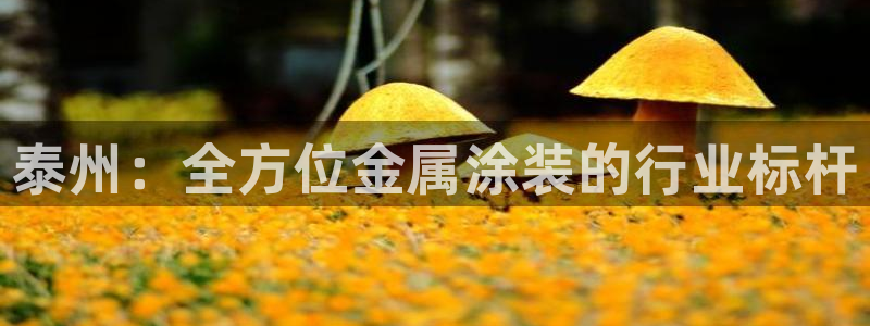 美高梅酒店集团旗下品牌有哪些