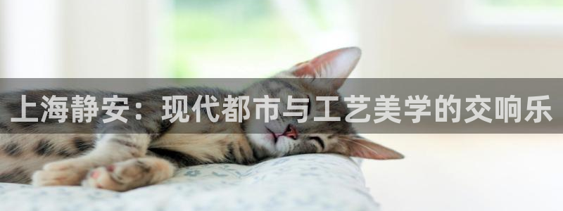 美高梅股票中国毛利率