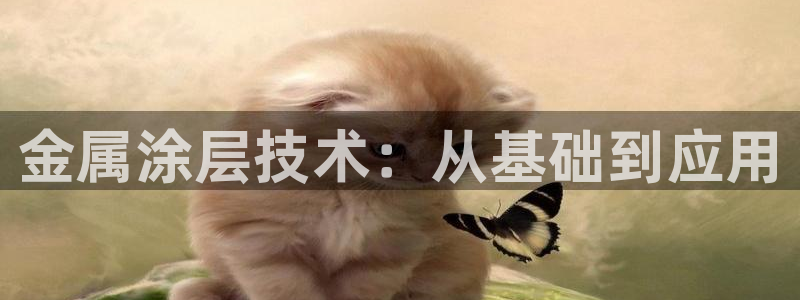 美高梅中国何超琼