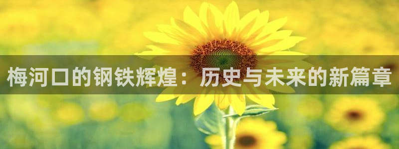 美高梅股票中国毛利率