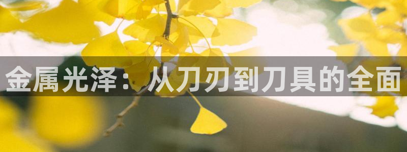 三亚美高梅度假酒店是何超琼的吗