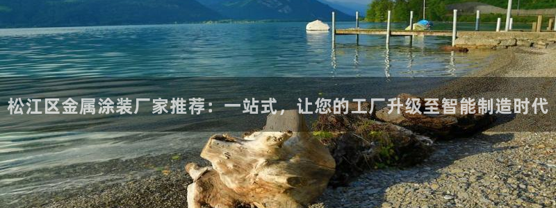 美高梅大酒店老板是谁
