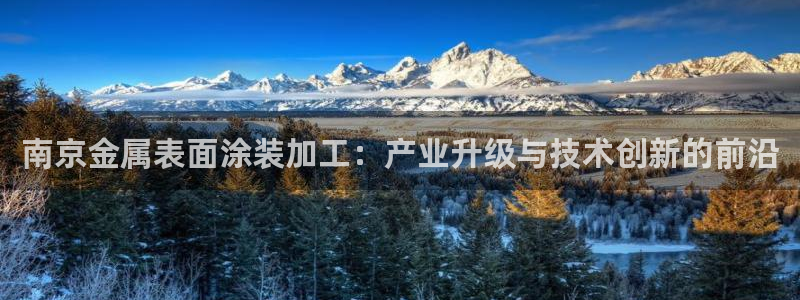 美高梅酒店空中海洋秀