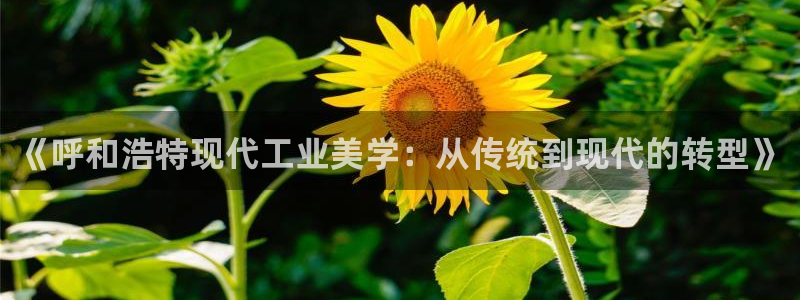 美高梅酒店是谁的