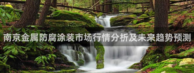 美狮美高梅酒店集团