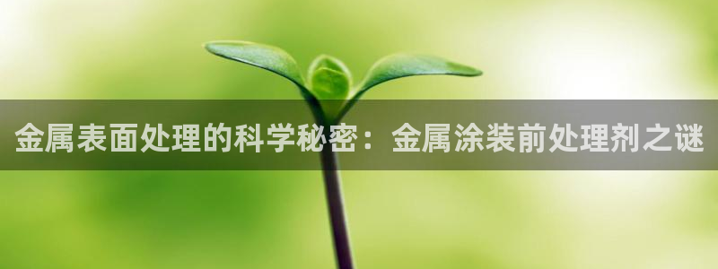 美高梅空中海洋秀