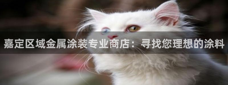 美狮美高梅酒店高度