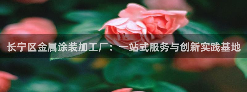 美高梅酒店拉斯维加斯