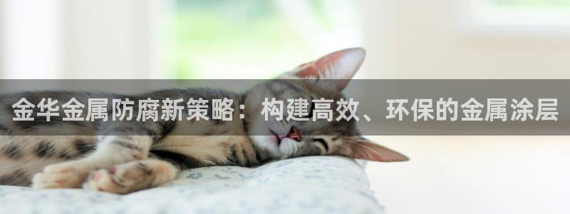 美高梅股票涨了多少