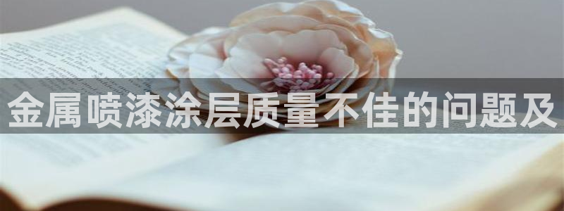 美高梅国际酒店集团介绍