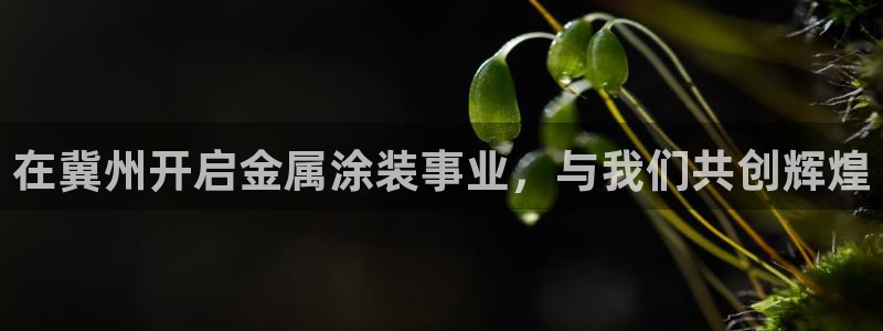 美高梅酒店门口的大狮子叫什么