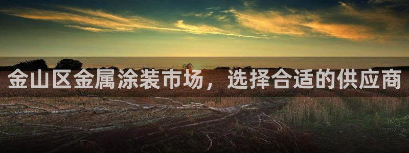 美狮美高梅酒店房间数量：金山区金属涂装市