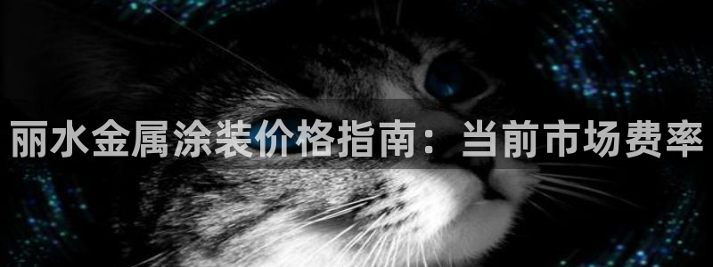 美高梅线上电子官网：丽水金属涂装价格指南