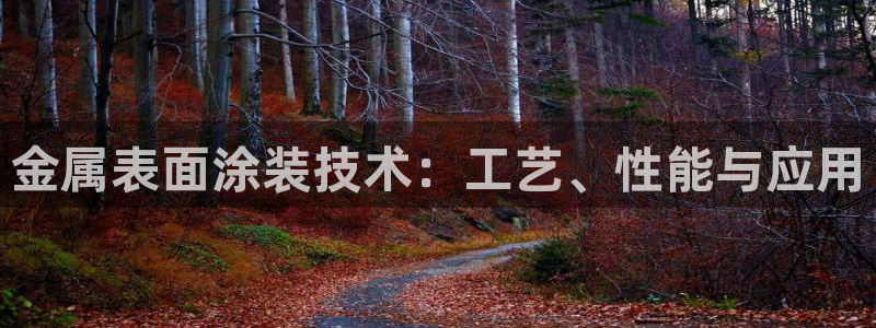 美高梅国际酒店集团的总部位于哪里