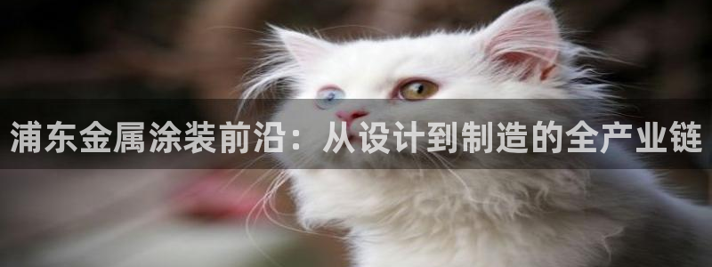 美高梅大酒店招聘