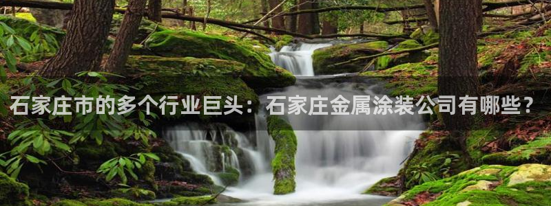 美高梅冻结账号要怎么解除