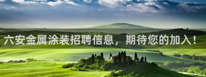 美狮美高梅酒店何超