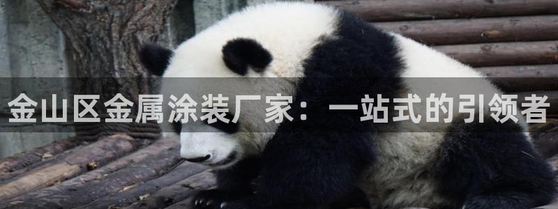 美高梅慈善晚宴