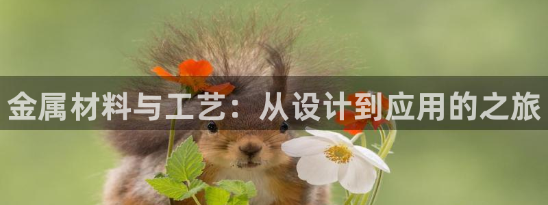 美高梅筹码最低多少钱一天