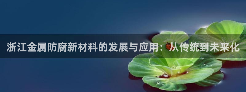 美高梅水疗怎么样