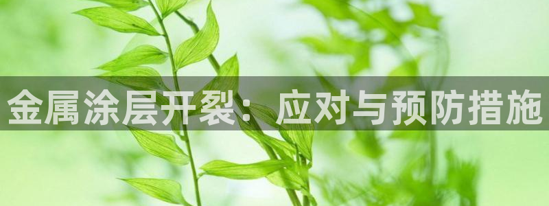 美高梅酒店香港