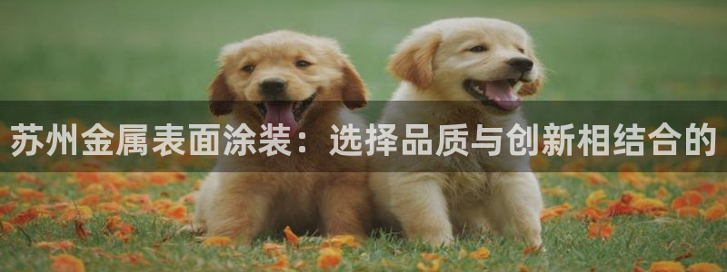 美高梅佛手柑润肤露怎么样