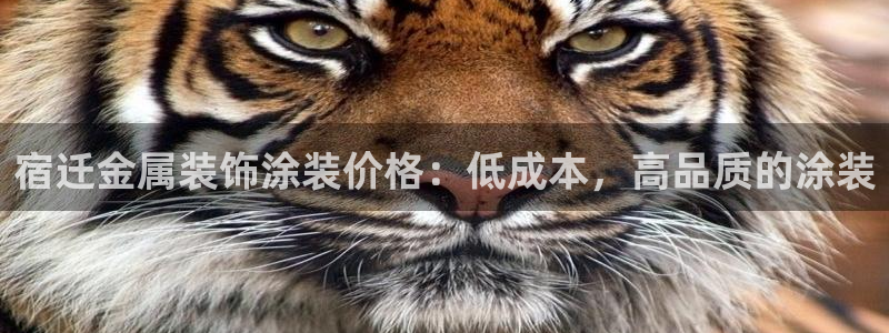 美高梅金狮卡值多少钱