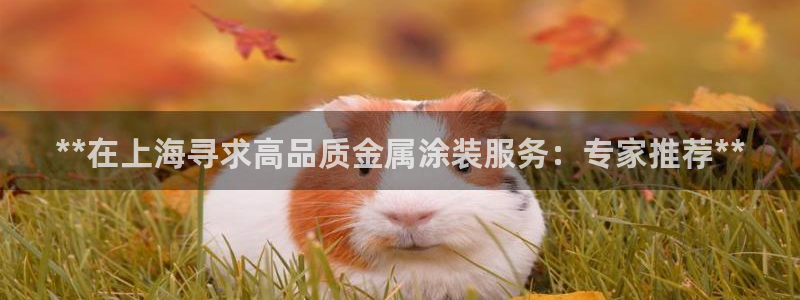 美高梅客户服务中心地址