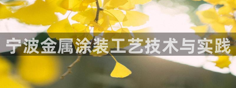 为什么我的美高梅网页上不了