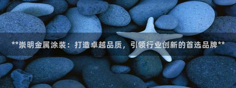 美高梅充值多少钱能提现出来：**崇明金属