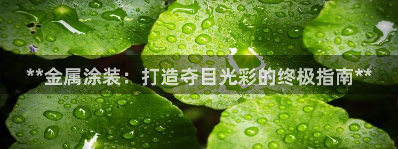 美高梅酒店哪个城市：**金属涂装：打造夺